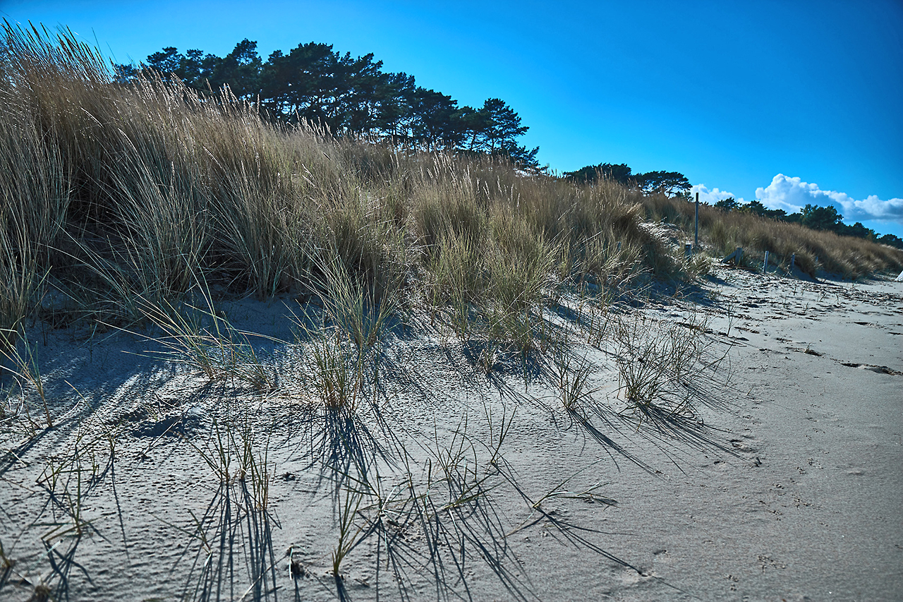 Dünenstrand