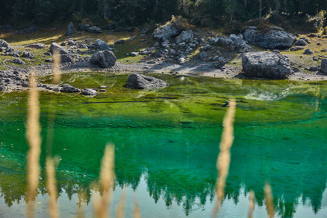 Ausschnitt vom See, smaragdgrün