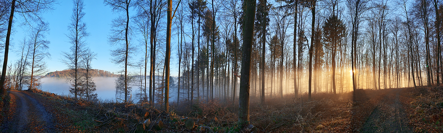 Westerwald, Nebelstimmung
