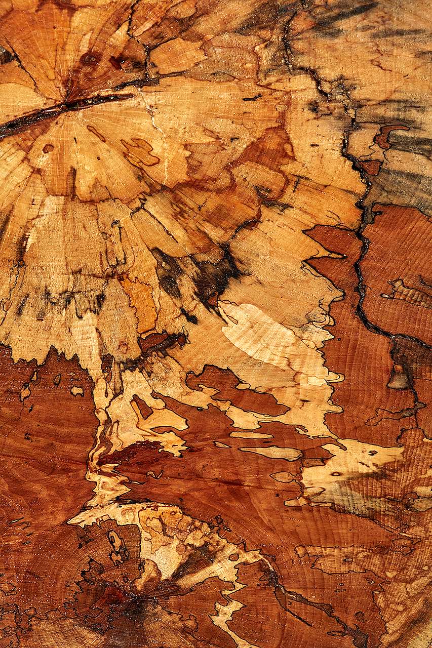 Baumscheibenoberfläche –als Kontinent