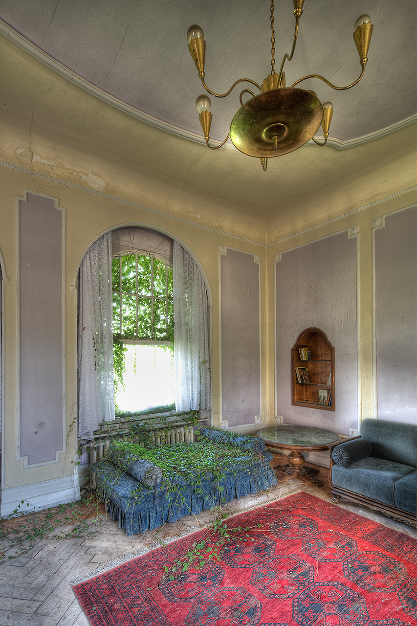 Zimmer mit Sofa u. Teppich von Pflanzen überwuchert