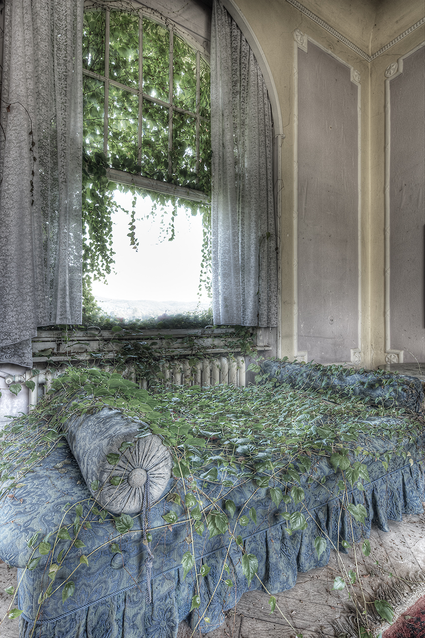 Ausschnitt von überwuchertem Sofa 02