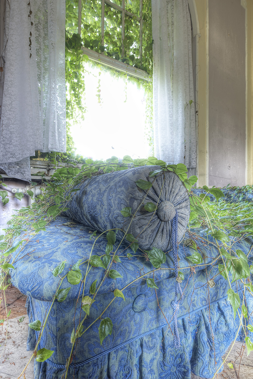 Ausschnitt von überwuchertem Sofa 01