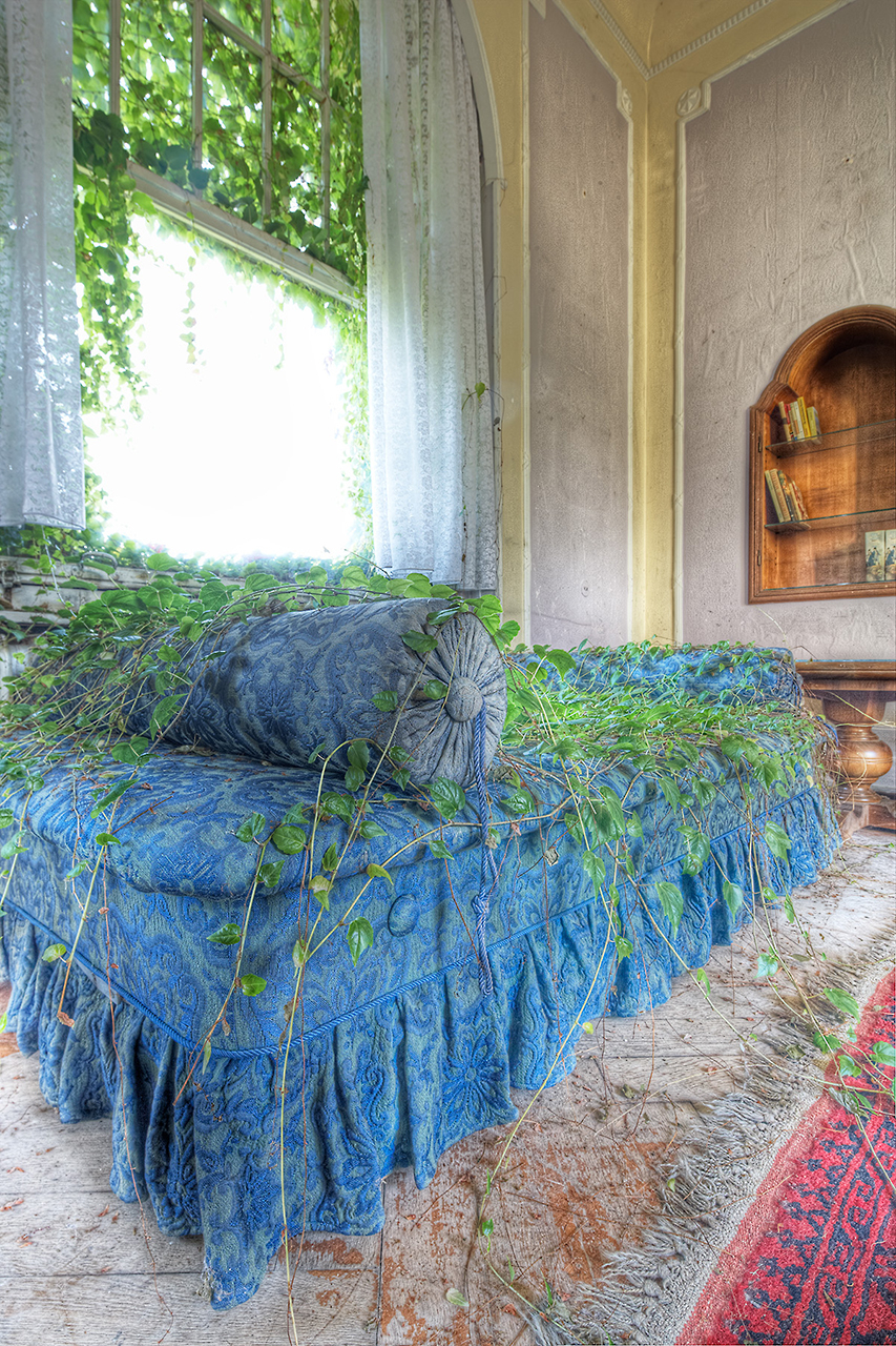 Ausschnitt von Sofa mit überwucherter Pflanze