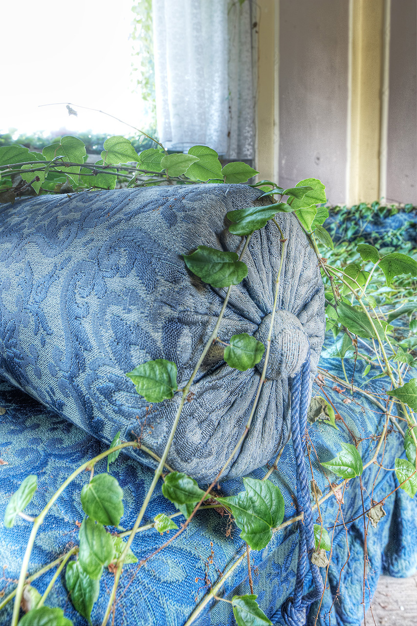 Detail von Sofa mit überwucherter Pflanze