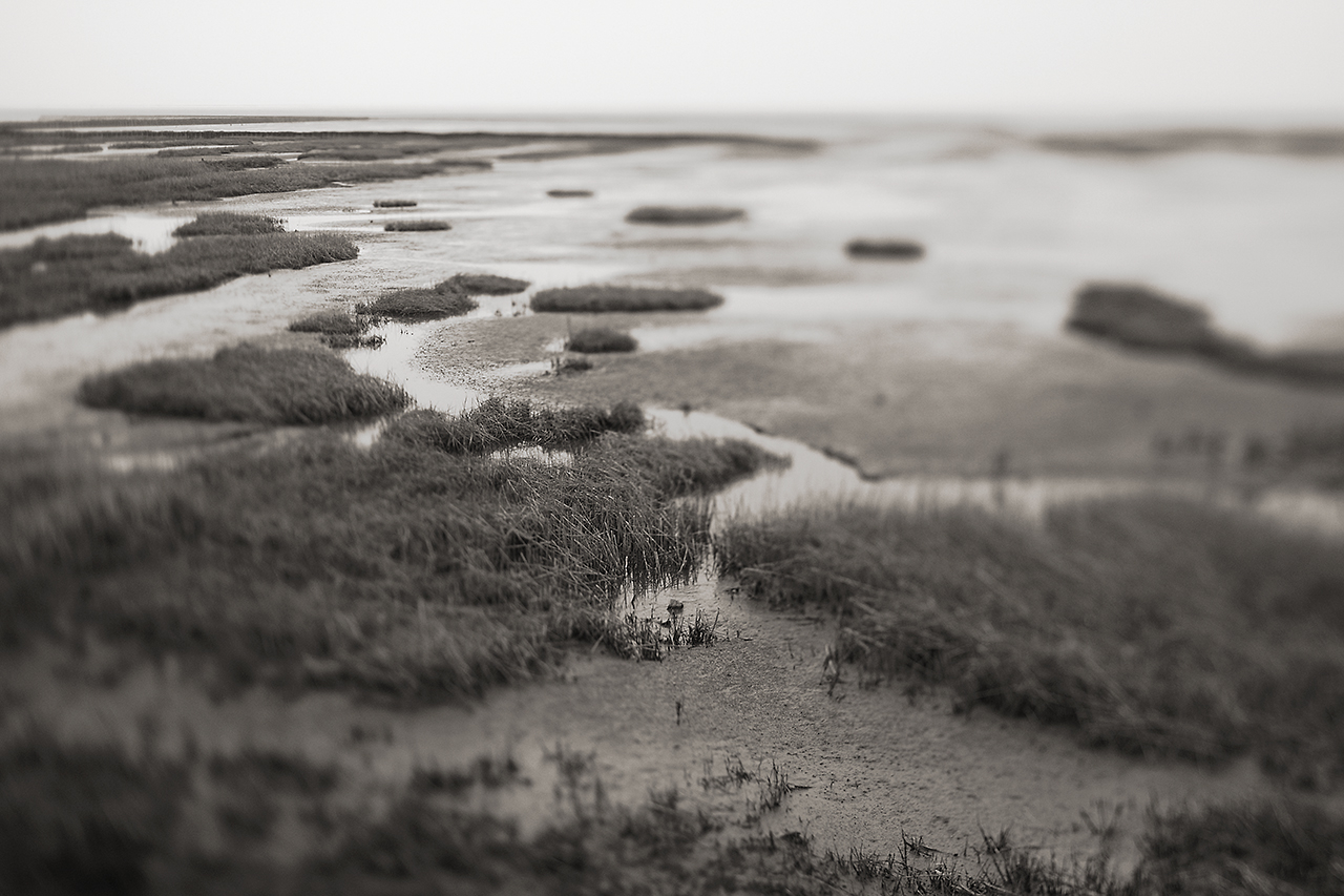 Wattenmeer