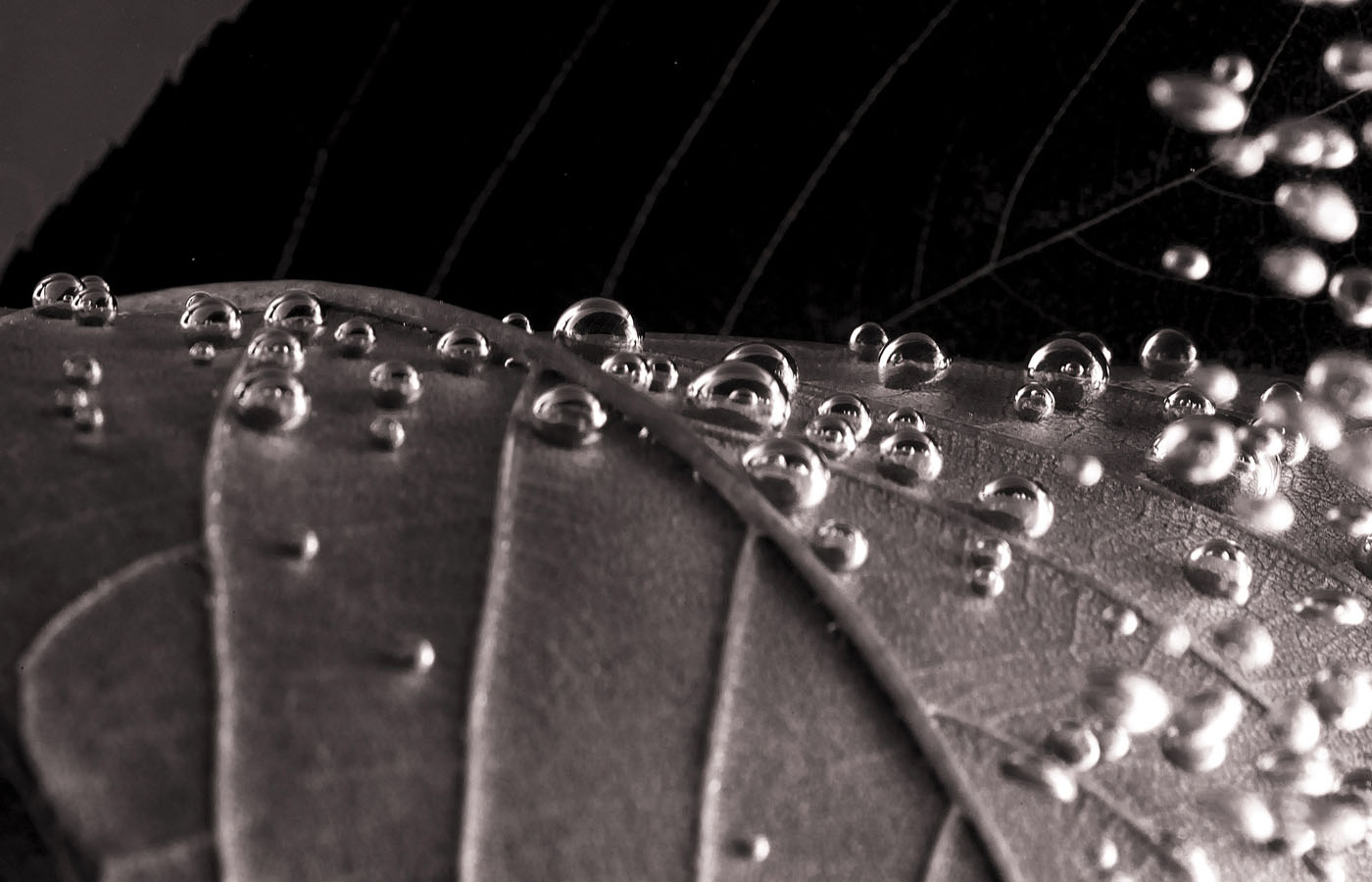 Luftblasen schwarzweiß 01