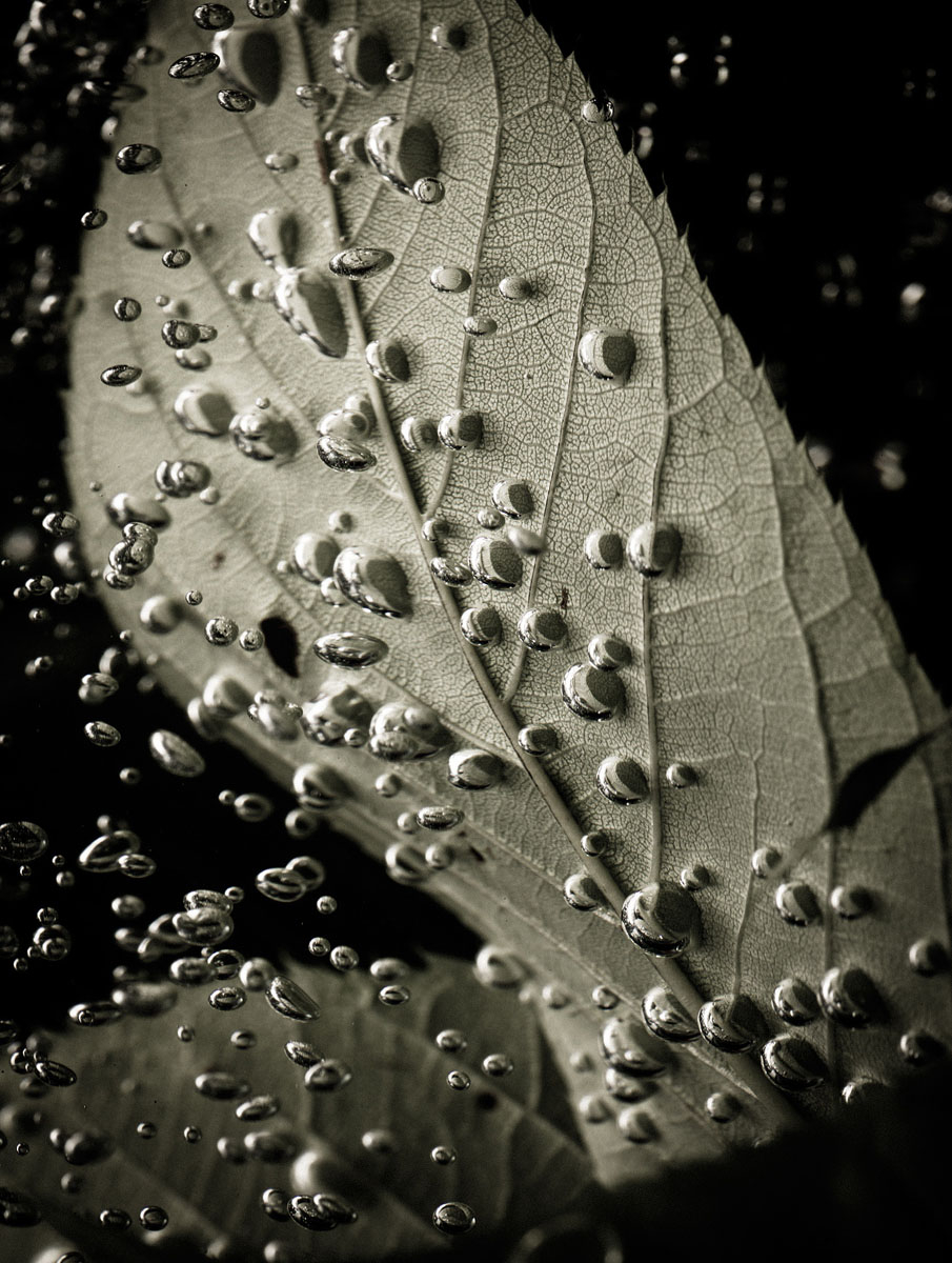 Luftblasen schwarzweiß 02